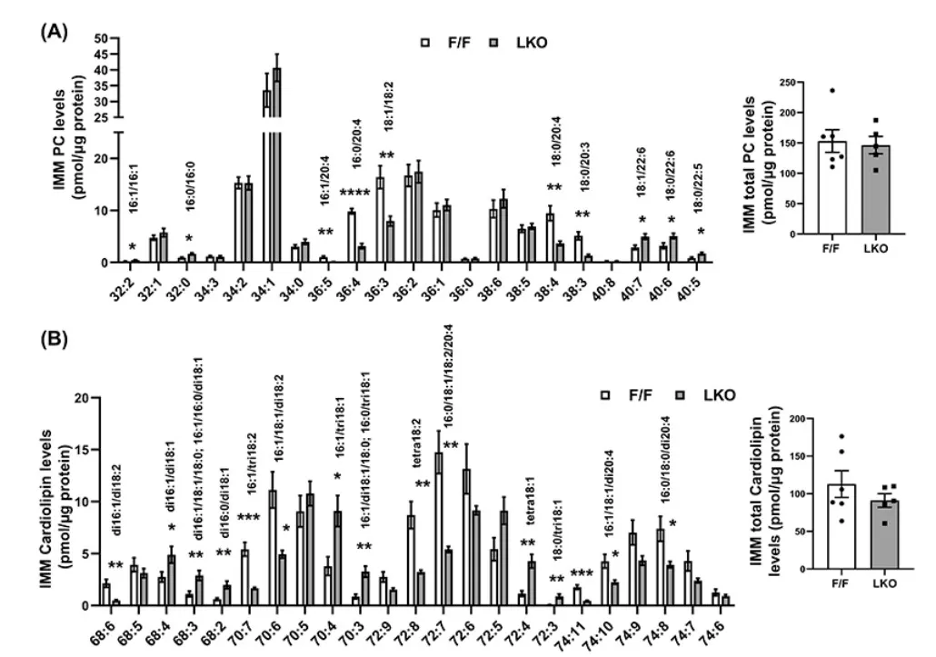 Altered Mitochondrial Phospholipid Composition in Lpcat3-Deficient NASH Mice